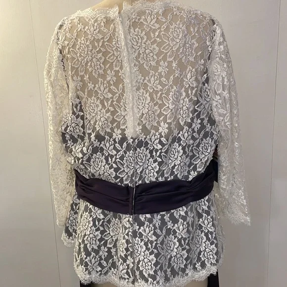 Alfred Angelo eggplant long satin skirt with lace top - mother of the br… - Picture 6 of 9